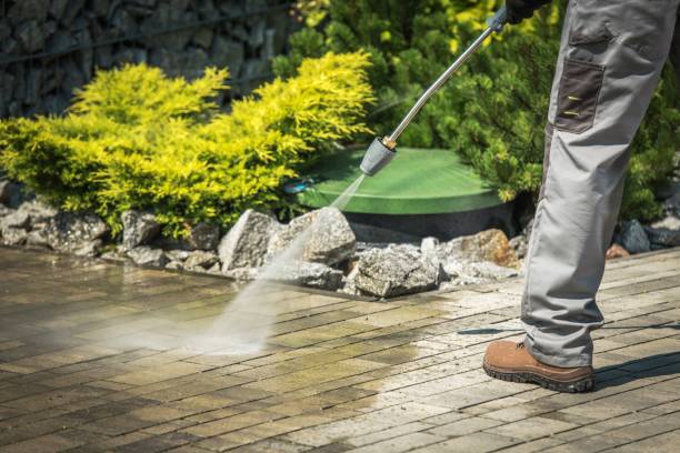 Best Soft Washing  in Rotonda, FL