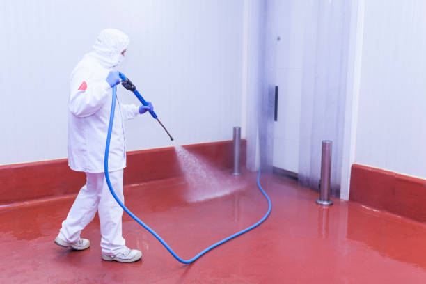 Best Boat and Dock Cleaning  in Rotonda, FL