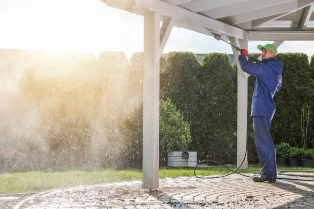 Best Graffiti Removal  in Rotonda, FL