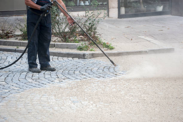 Best Sidewalk and Walkway Cleaning  in Rotonda, FL