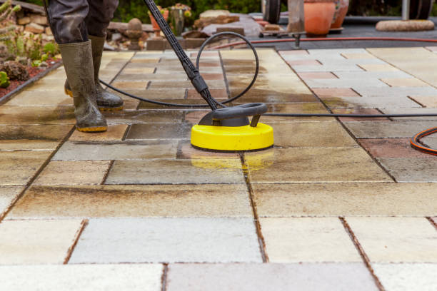 Best Solar Panel Cleaning  in Rotonda, FL
